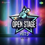 Open Stage Hits - Vol 65 - Ajay Gadre Song Download